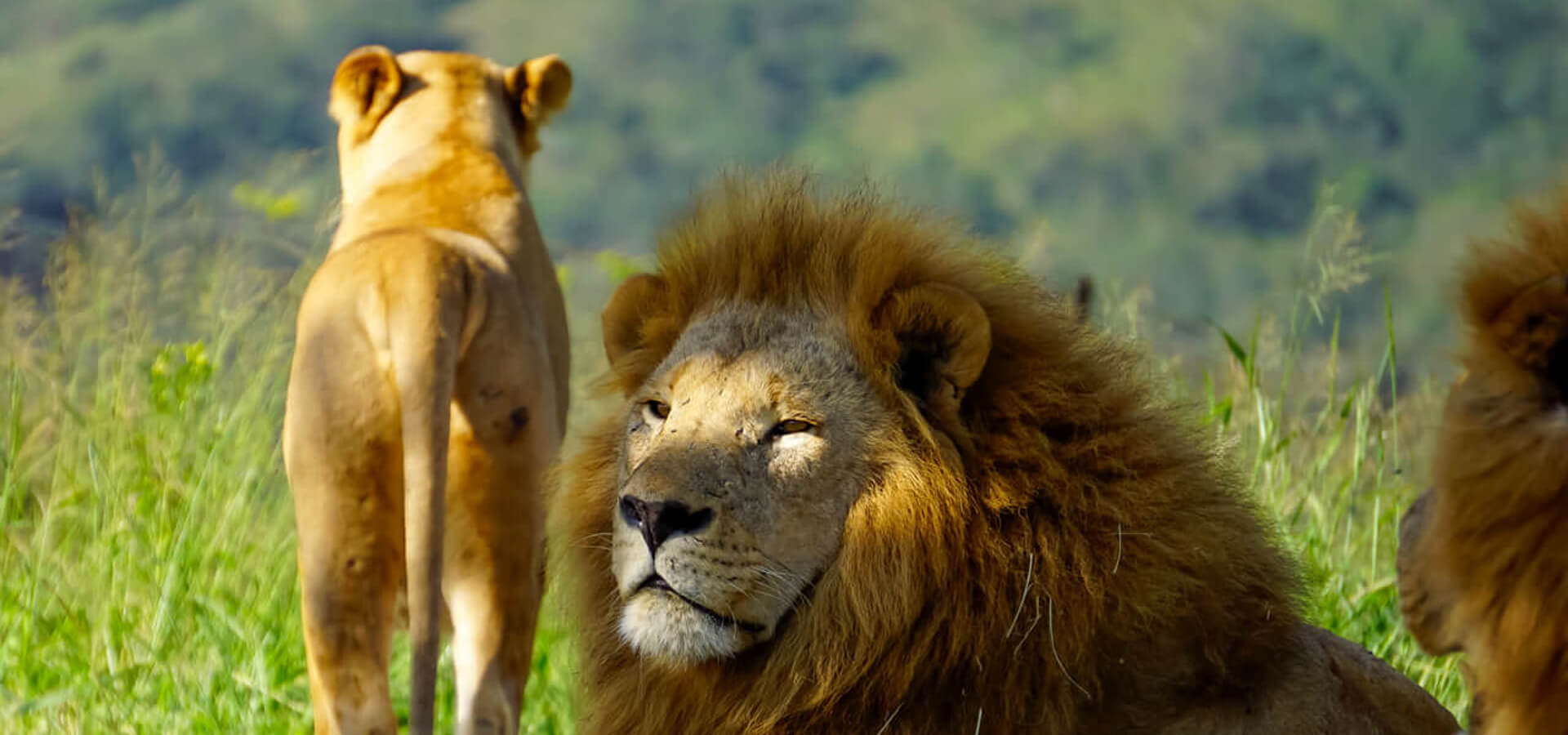 Akagera-Nationalpark