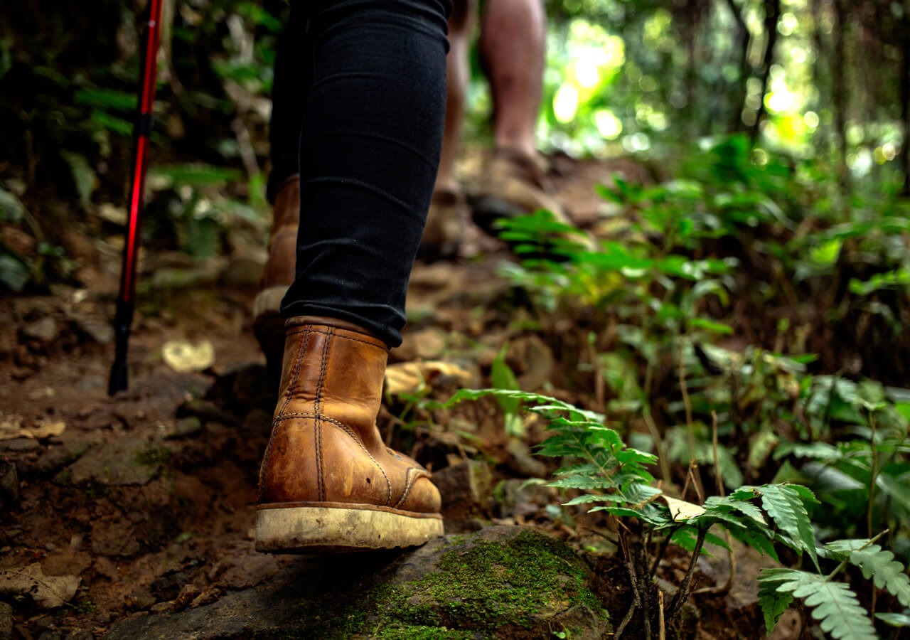 Wandern und Spaziergange in der Natur