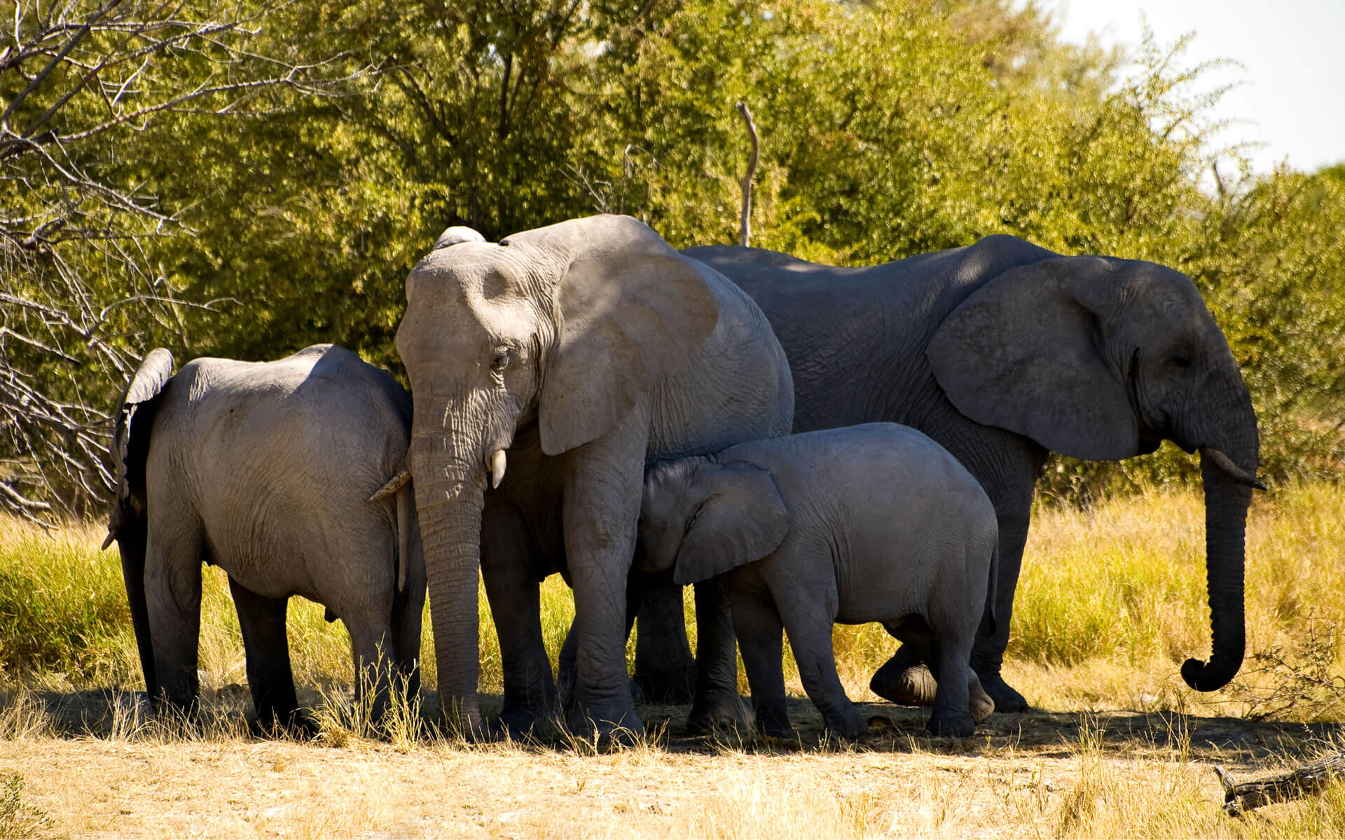 10 Tage – Das Beste von Ruanda