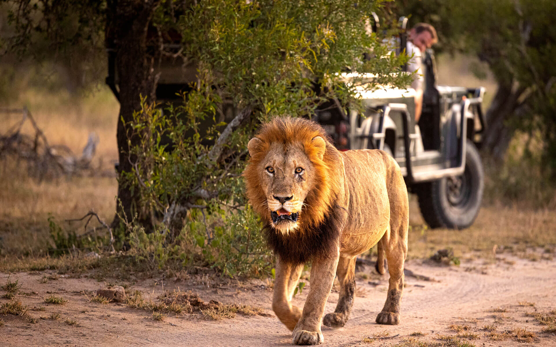 7 Tage Wildtiere und Kultur